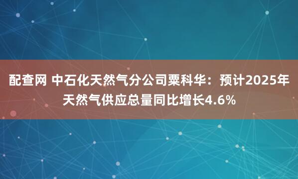 配查网 中石化天然气分公司粟科华：预计2025年天然气供应总量同比增长4.6%