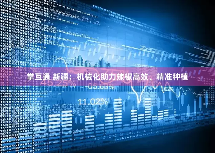 掌互通 新疆：机械化助力辣椒高效、精准种植