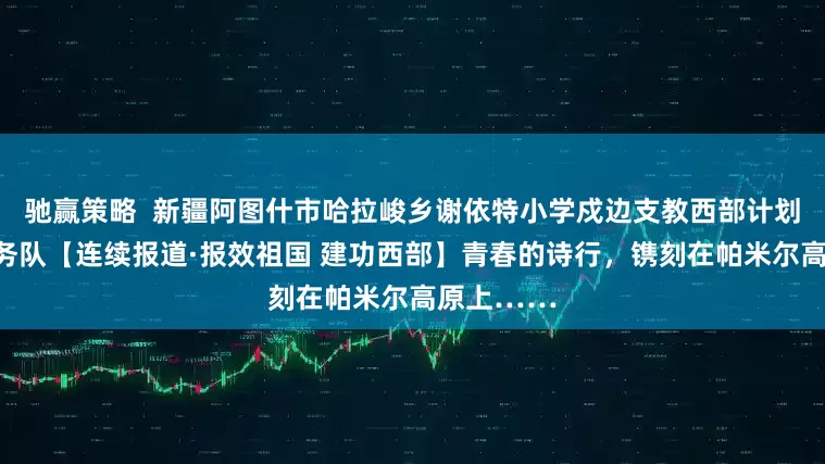 驰赢策略  新疆阿图什市哈拉峻乡谢依特小学戍边支教西部计划志愿者服务队【连续报道·报效祖国 建功西部】青春的诗行，镌刻在帕米尔高原上……