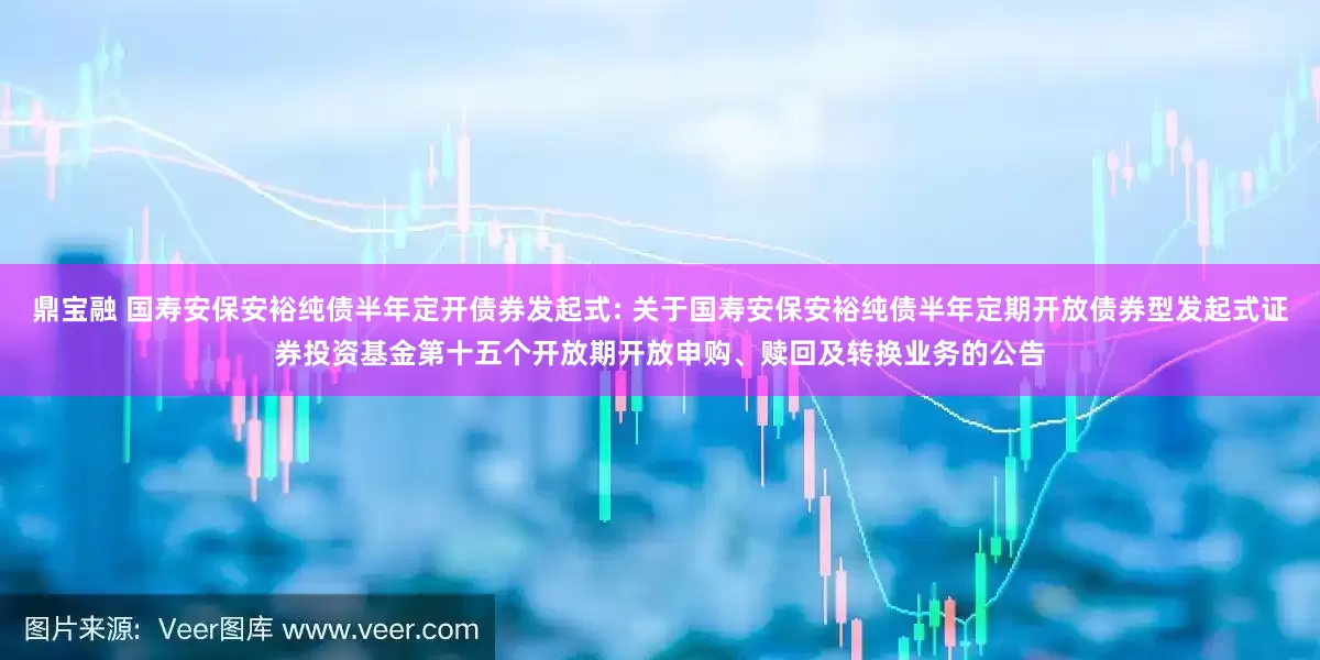 鼎宝融 国寿安保安裕纯债半年定开债券发起式: 关于国寿安保安裕纯债半年定期开放债券型发起式证券投资基金第十五个开放期开放申购、赎回及转换业务的公告