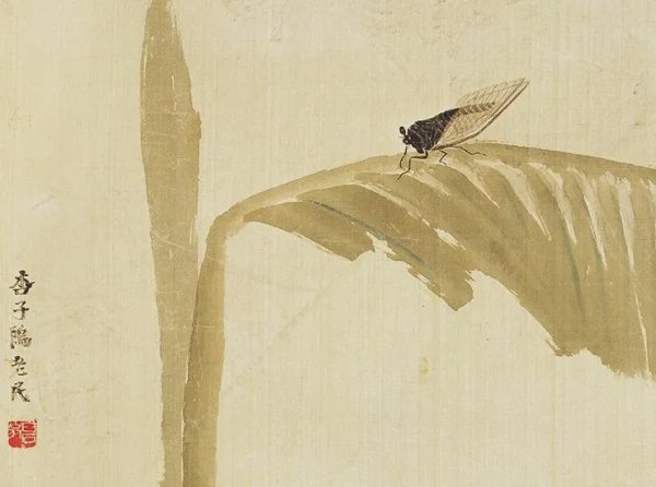 顺发配资 齐白石画蝉