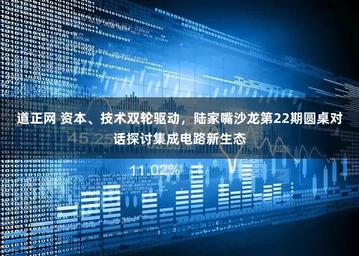 道正网 资本、技术双轮驱动，陆家嘴沙龙第22期圆桌对话探讨集成电路新生态