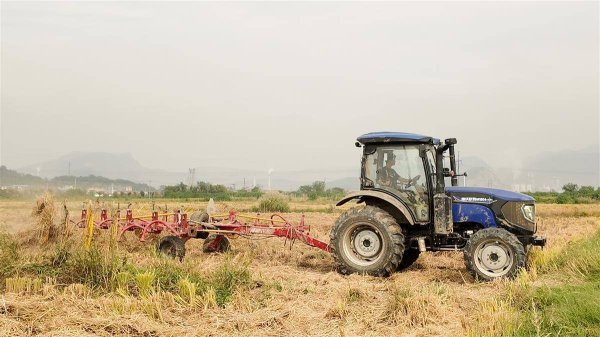 优配物料 阳新“粮三代”种出功能米：父亲曾随袁隆平学习育种技术  现今00后儿子专注功能米