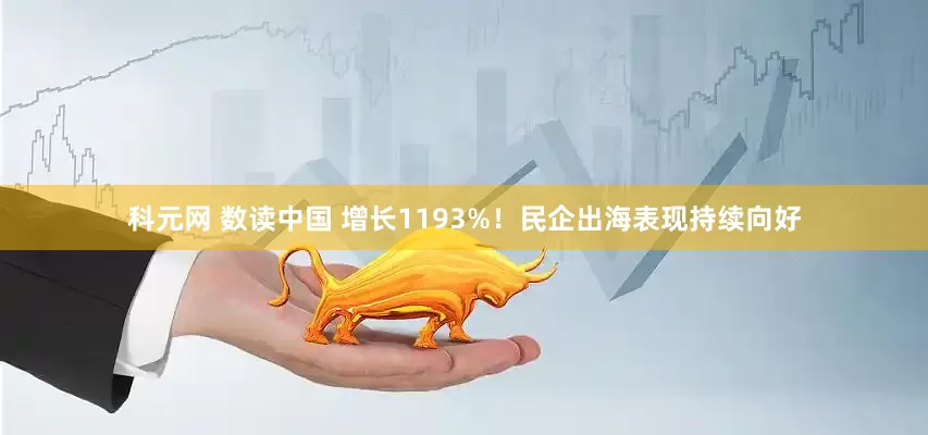 科元网 数读中国 增长1193%!民企出海表现持续向好